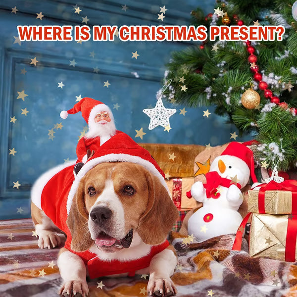 🔥Best Christmas Family Pajamas For Pets