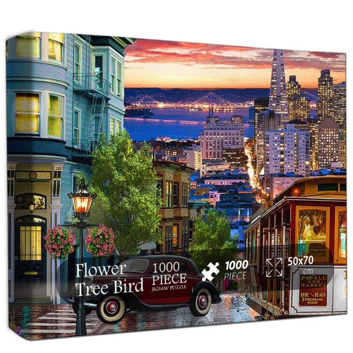 San Francisco Night Jigsaw Puzzle 500 1000 Pieces