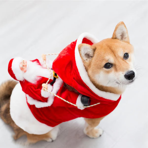 🔥Best Christmas Family Pajamas For Pets
